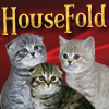 HouseFold - �������� ����� ������ Scottish Fold (����������� ���������)